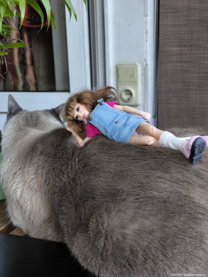 Утро начинается с котиков (фото 7)