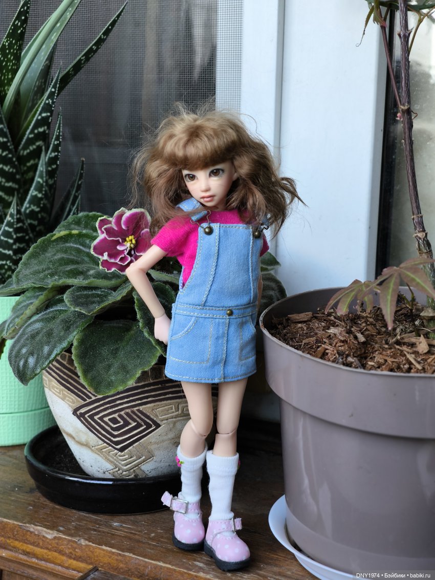 Утро начинается с котиков