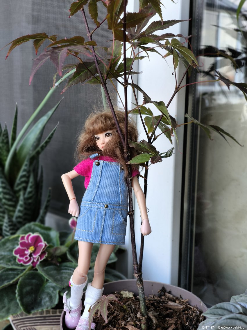 Утро начинается с котиков (фото 2)