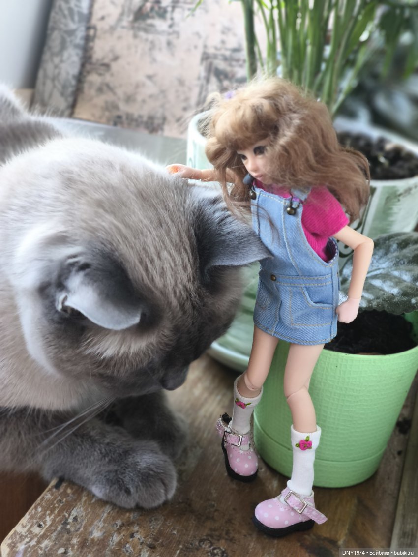 Утро начинается с котиков