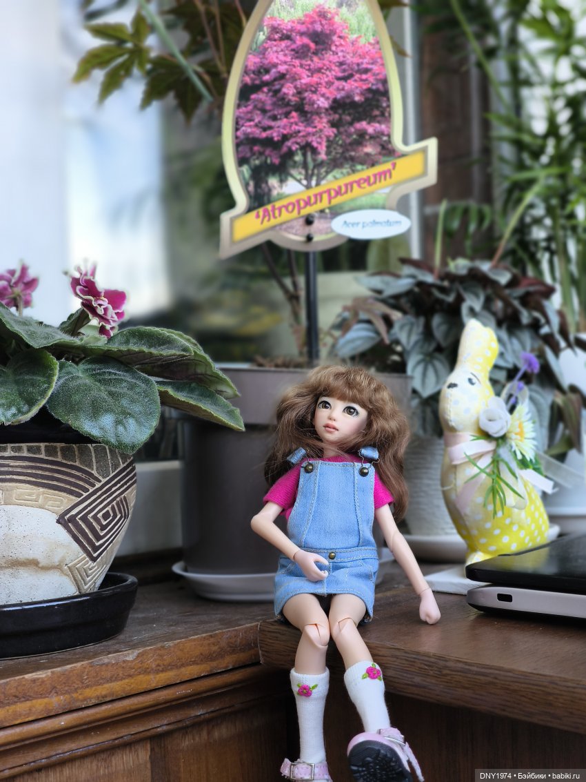 Утро начинается с котиков (фото 4)