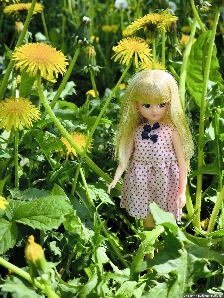 Ликка 5, Ликка 6, а дальше