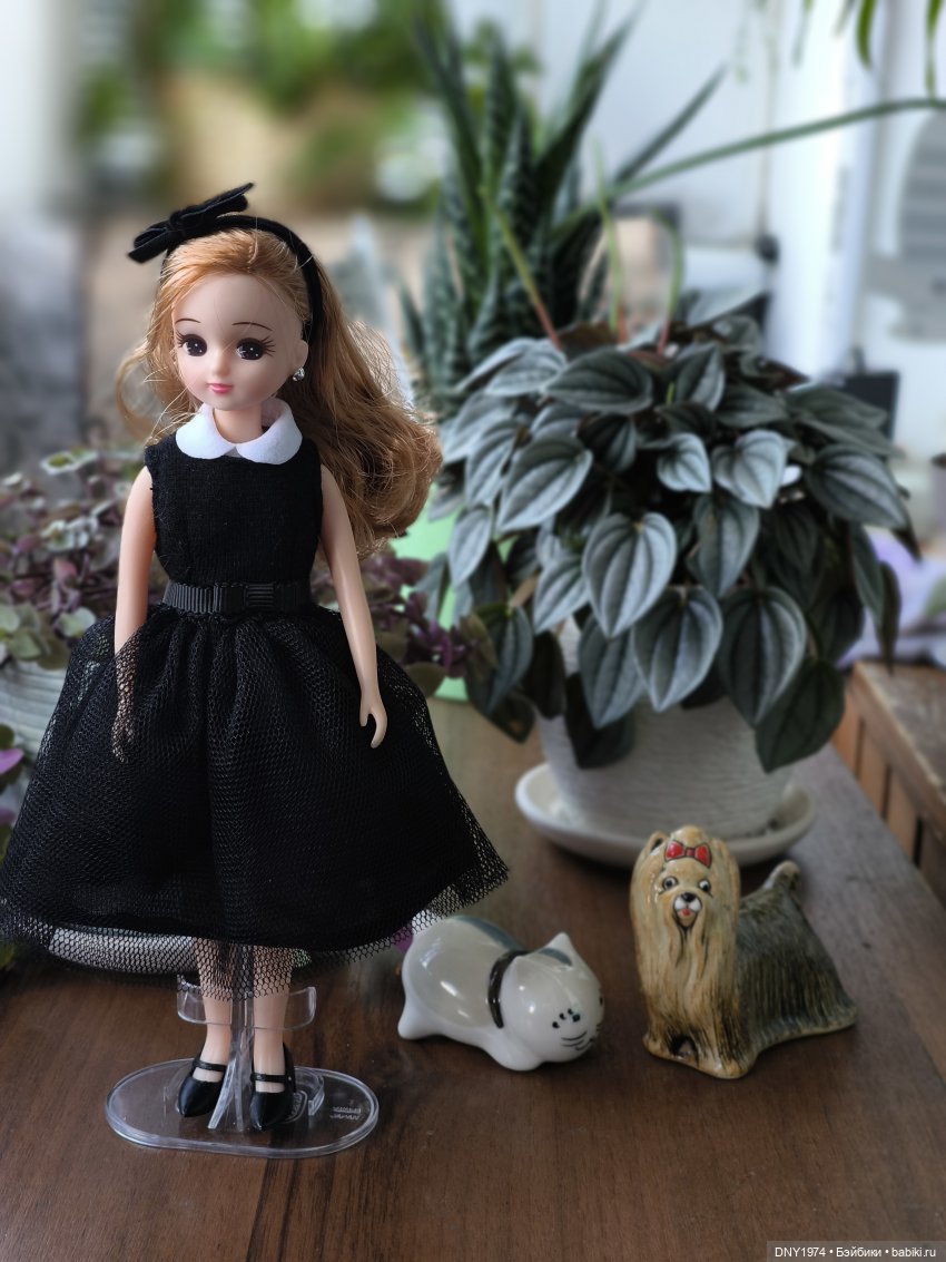 Ликка 5, Ликка 6, а дальше (фото 5)