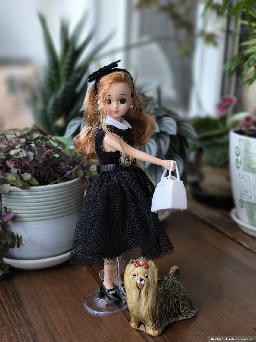 Ликка 5, Ликка 6, а дальше (фото 7)