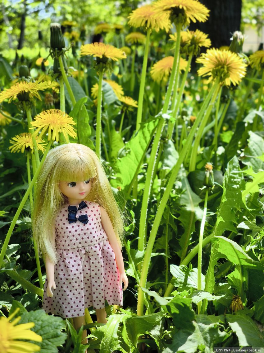 Ликка 5, Ликка 6, а дальше