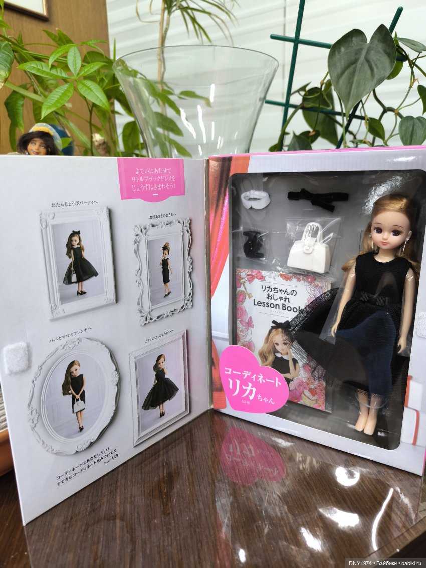 Ликка 5, Ликка 6, а дальше (фото 3)