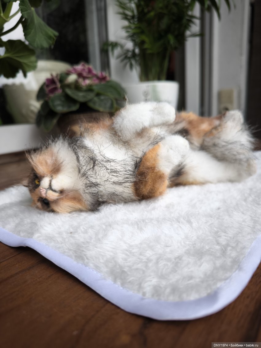 Алан и котики — Куклы Fairyland (ФэйриЛэнд): BJD (БЖД)