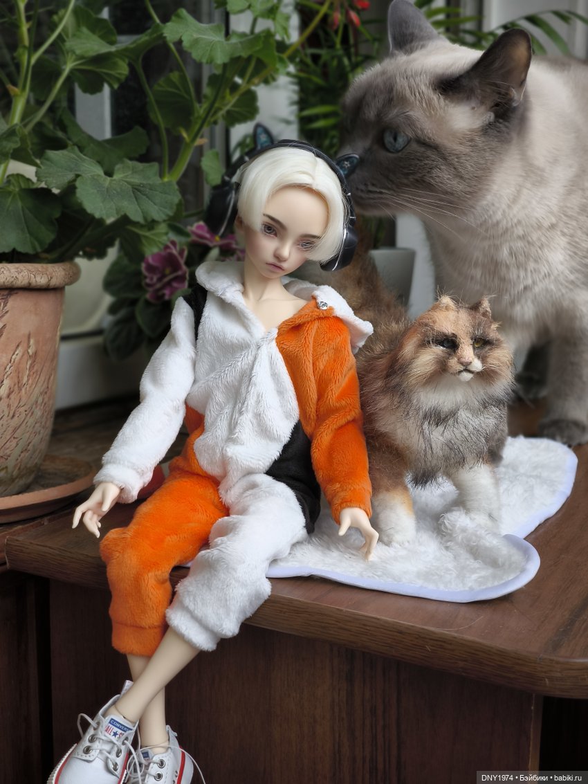 Алан и котики — Куклы Fairyland (ФэйриЛэнд): BJD (БЖД) (фото 10)