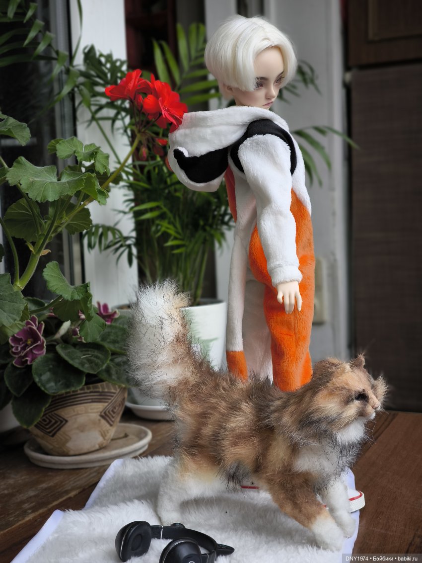 Алан и котики — Куклы Fairyland (ФэйриЛэнд): BJD (БЖД) (фото 8)