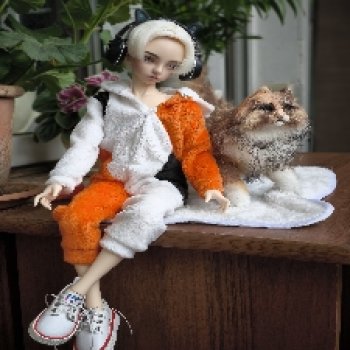 Алан и котики