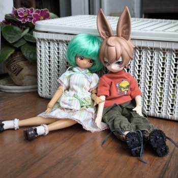 Заячьи страдания