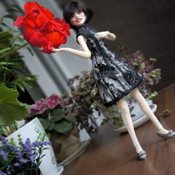 Новая Заноза