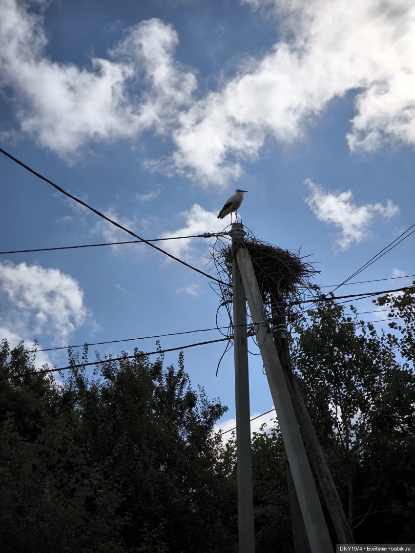 Котики Зеленоградска — Культура (фото 3)