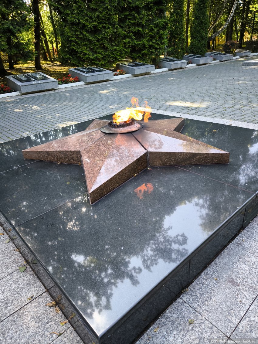 Котики Зеленоградска — Культура