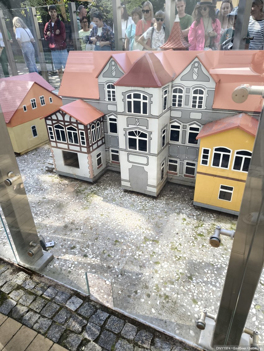 Котики Зеленоградска — Культура