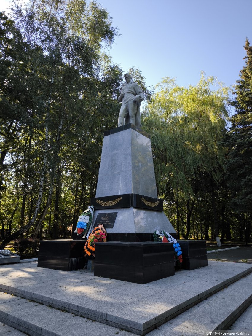 Котики Зеленоградска — Культура