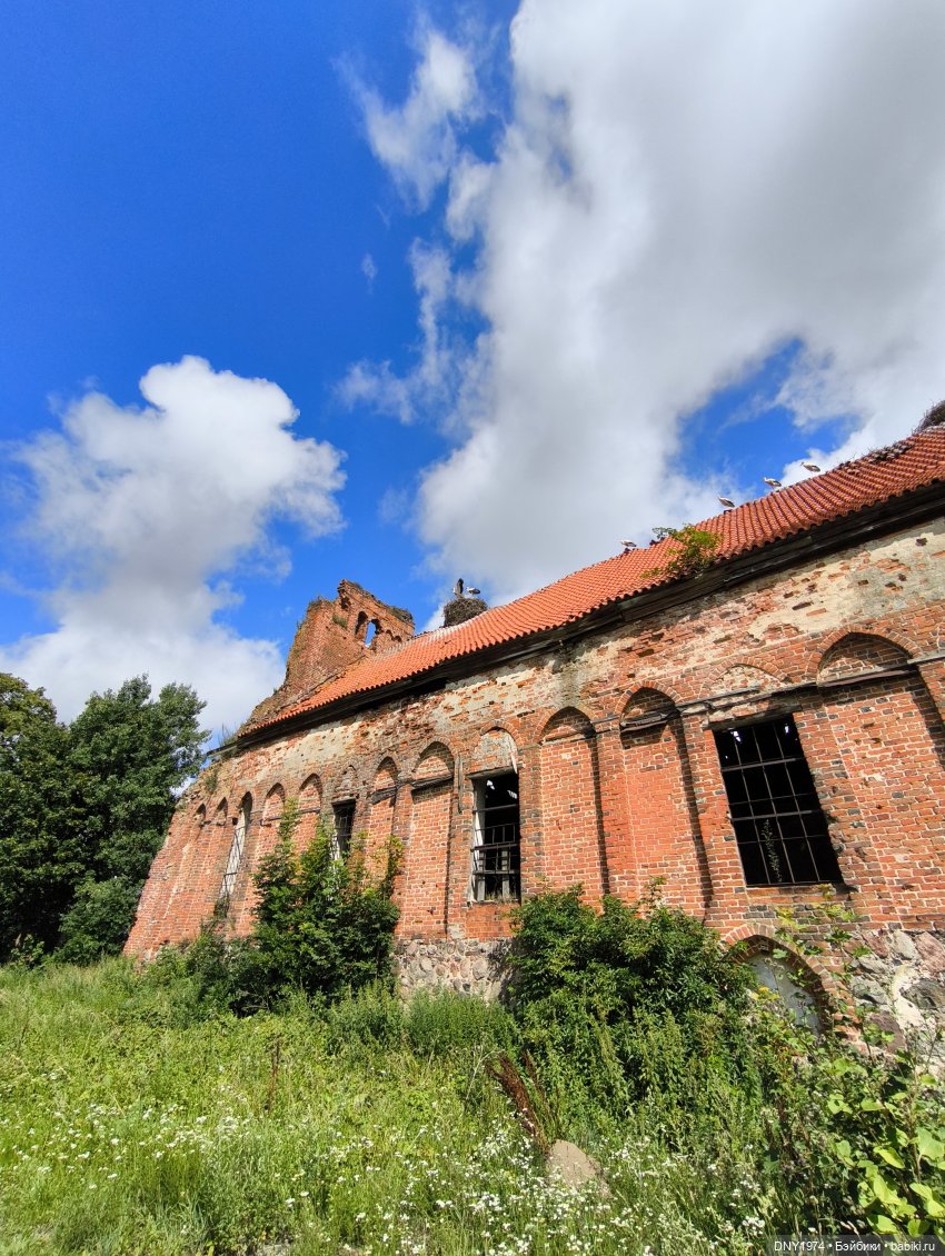 Котики Зеленоградска — Культура