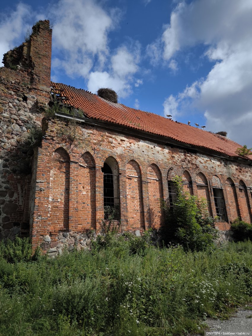Котики Зеленоградска — Культура (фото 4)