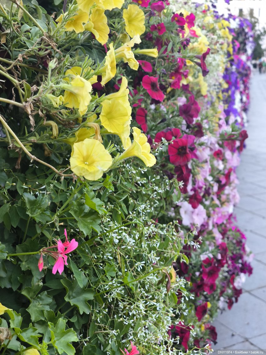 Варя гуляет по Москве — Куклы Milim Studio (Милим): российские БЖД (фото 2)