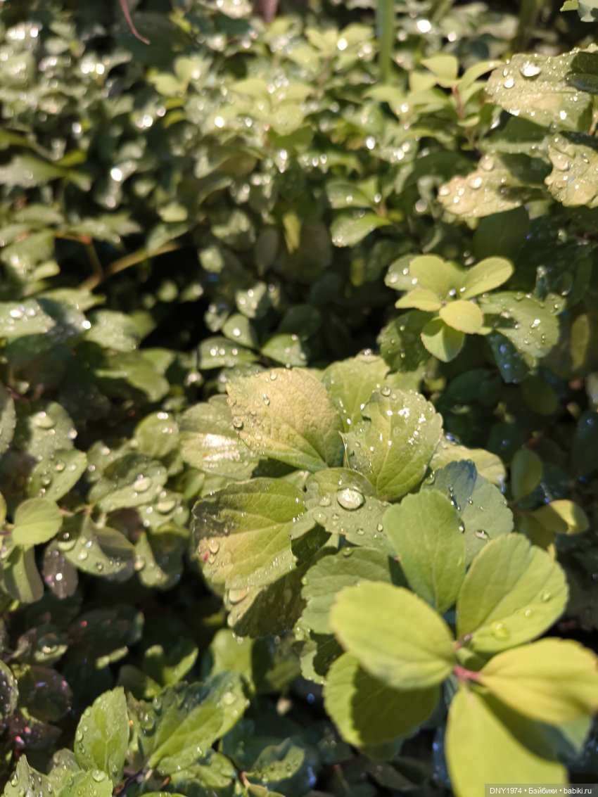 Сид гуляет по Москве, часть 1