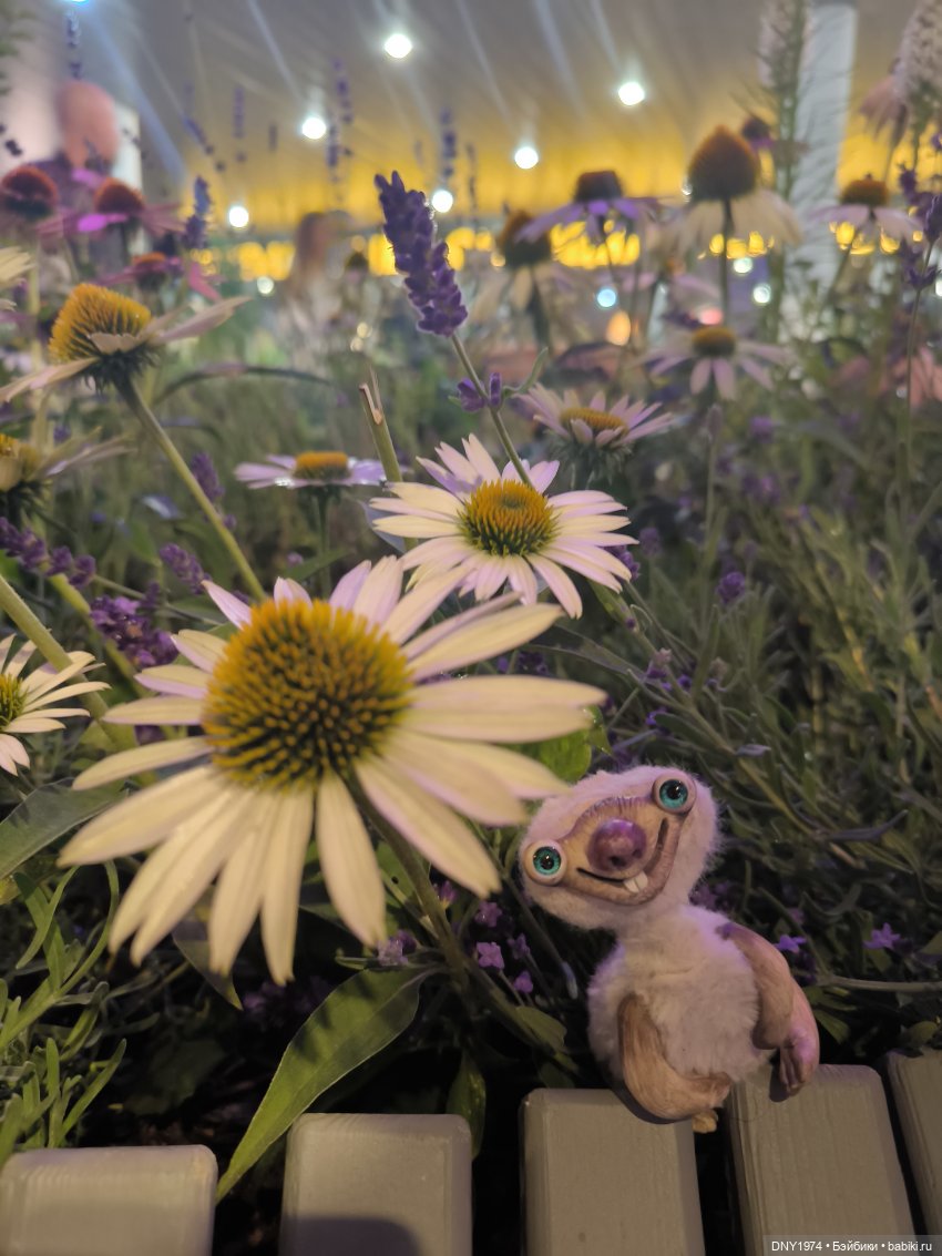 Сид гуляет по Москве, часть 1 (фото 10)