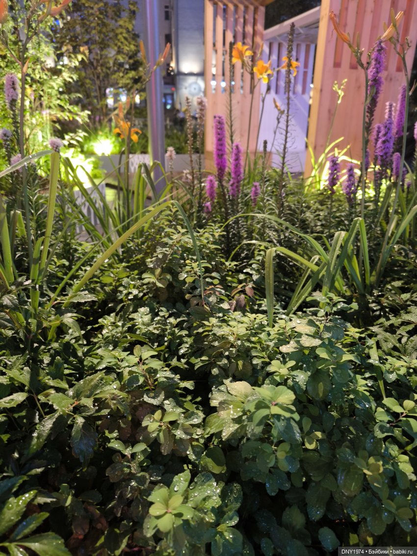 Сид гуляет по Москве, часть 1