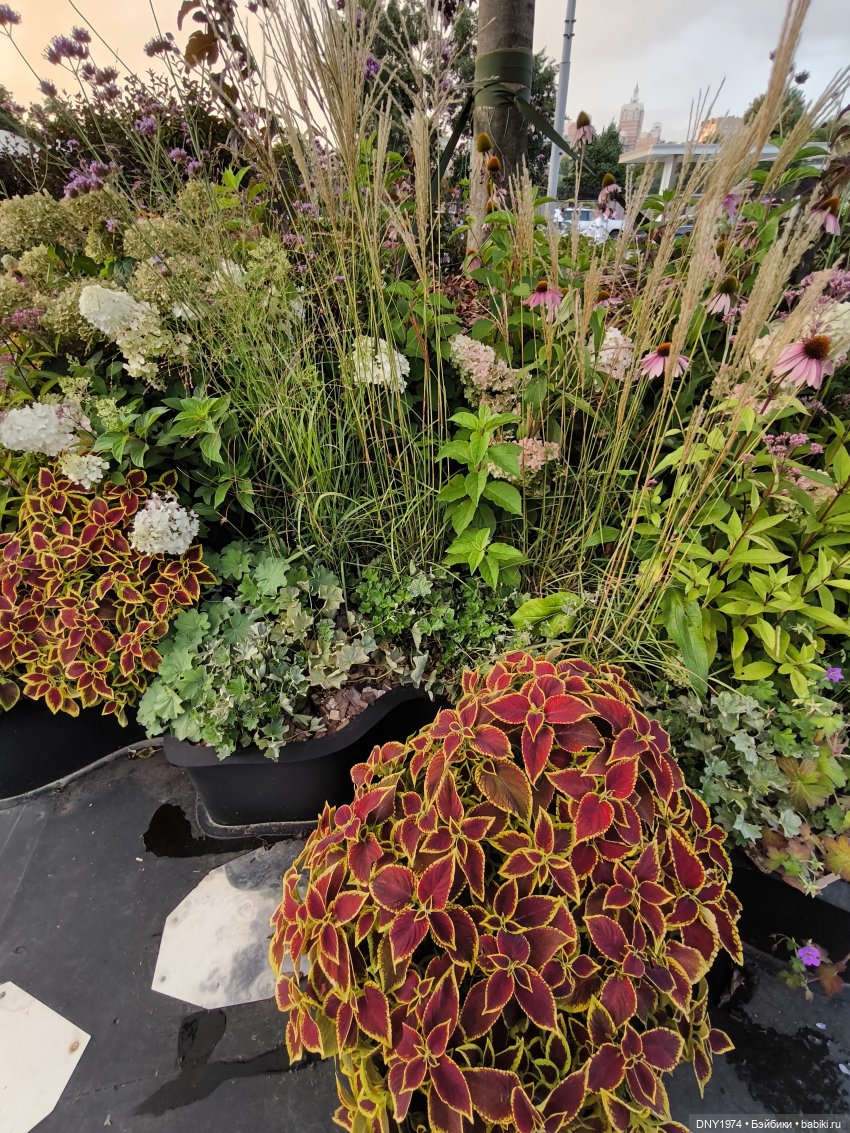 Отмечаю юбилей, почти — Домашние фото авторских игрушек: Тедди (фото 4)