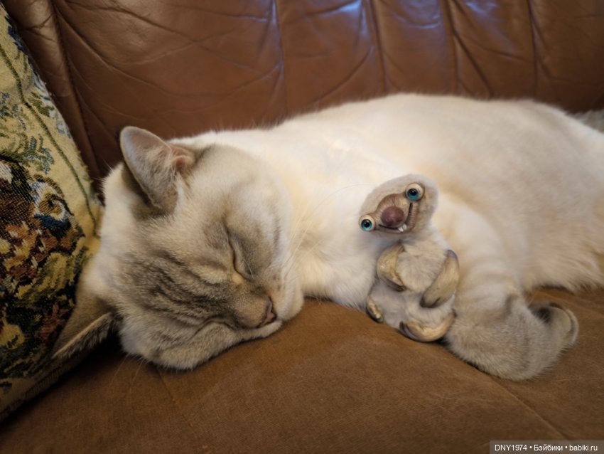 Идиотъ — Домашние фото авторских игрушек: Тедди (фото 5)