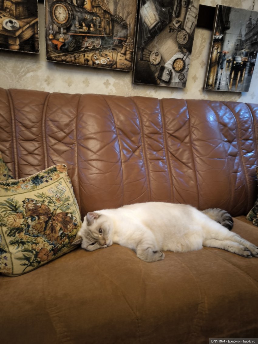 Идиотъ — Домашние фото авторских игрушек: Тедди (фото 3)