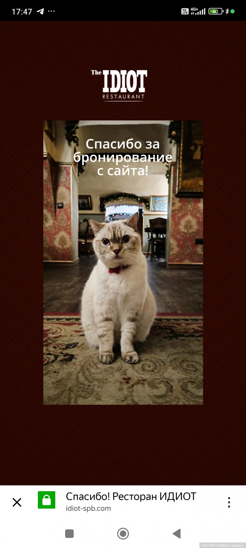 Идиотъ — Домашние фото авторских игрушек: Тедди