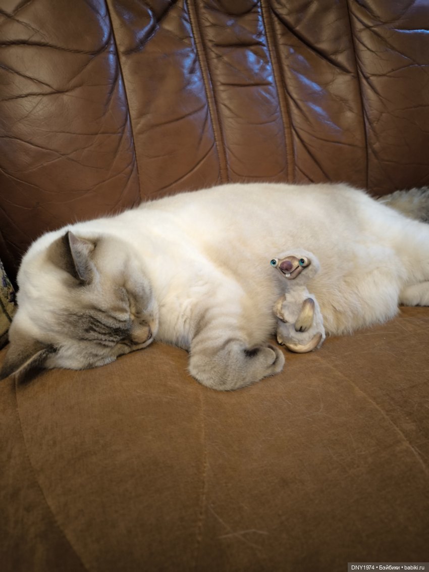 Идиотъ — Домашние фото авторских игрушек: Тедди (фото 4)