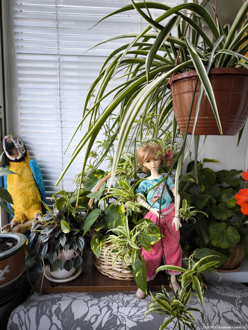 Джунгли на балконе — Куклы Bimong (Бимонг): Narae (Нарае)