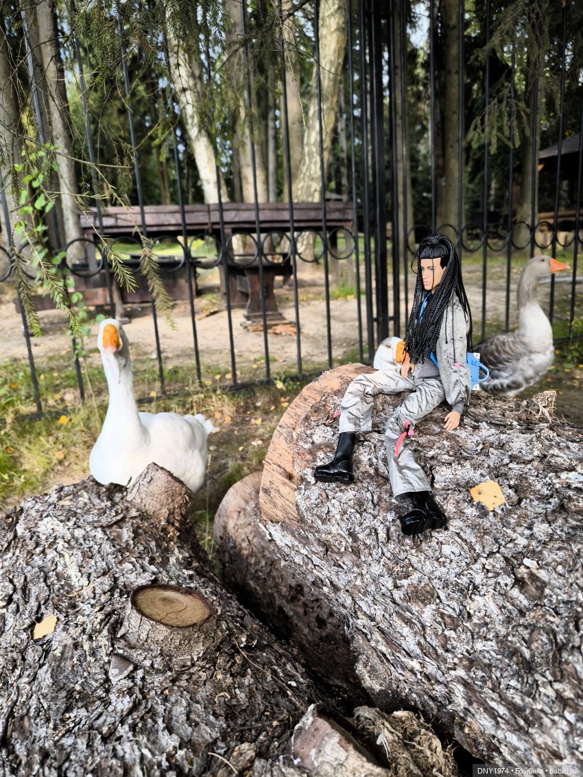 Отдых Некота — Коллекции фэшн (фото 2)