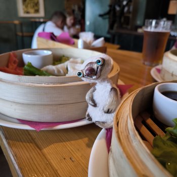 Как надо любить пельмени