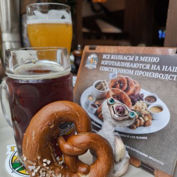 Сид в гостях у Франца и Фридриха