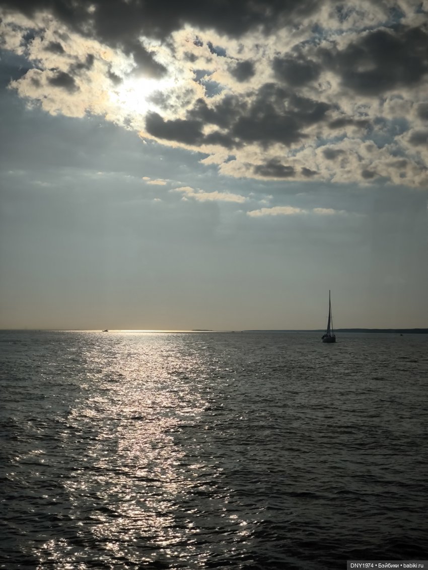 Сид и ВМФ — Домашние фото авторских игрушек: Тедди (фото 6)