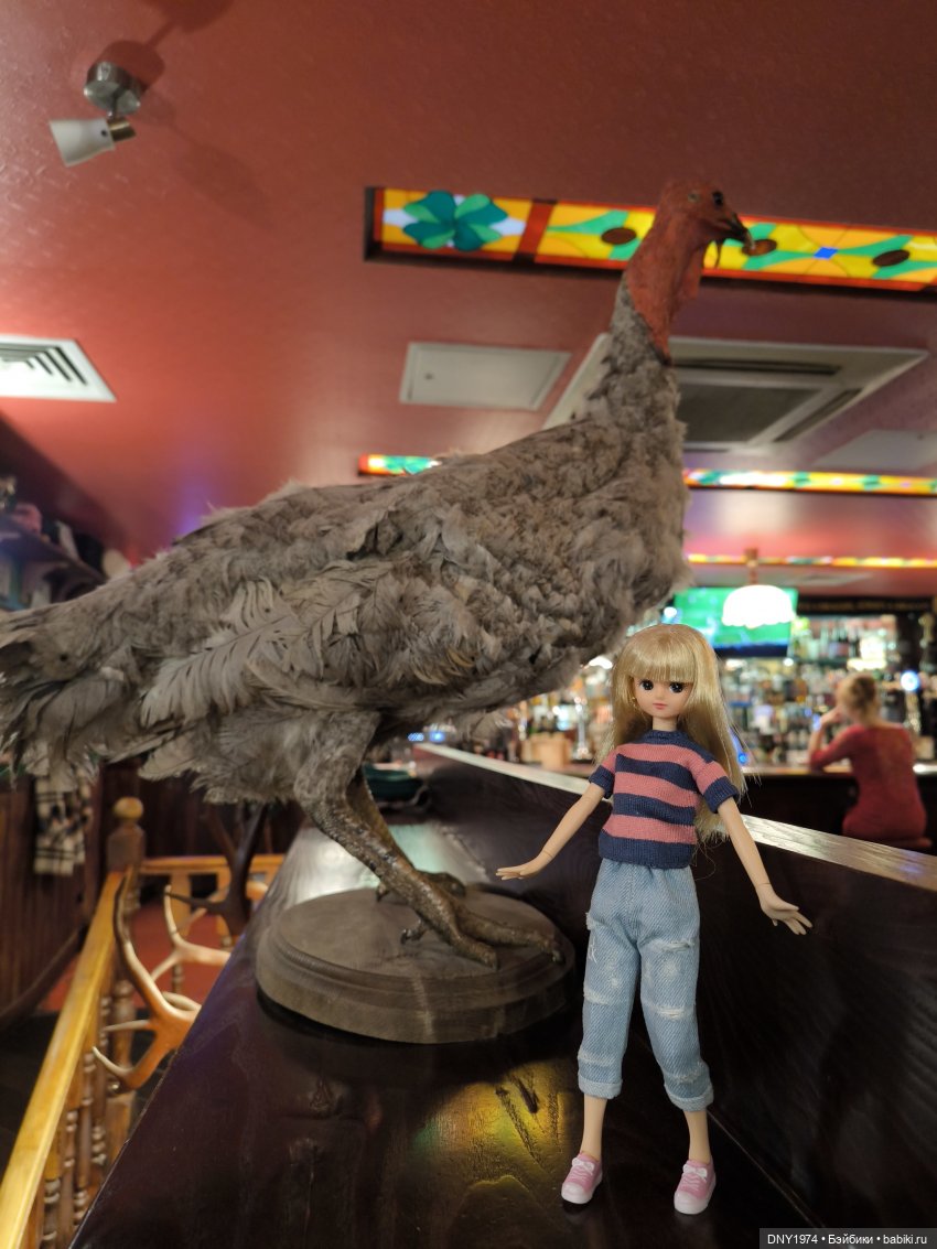 Вместо пятницы - среда — Куклы Takara Tomy (Такара): Licca (Ликка) (фото 5)