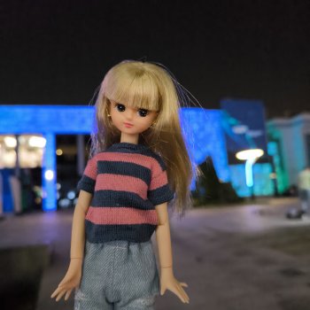 Ликка и ночная Москва