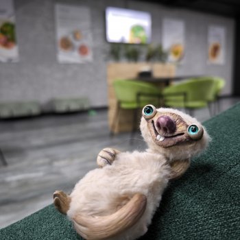 Нужен ли Сиду ЗОЖ?