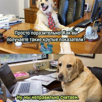 Вопросы анкеты за 2024