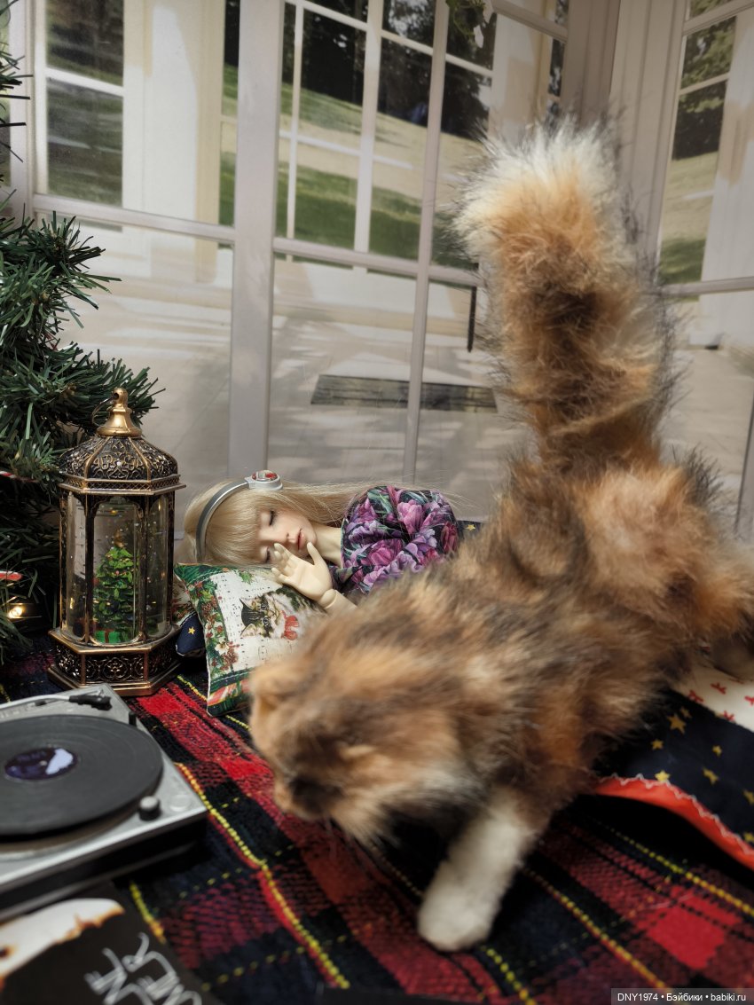 Спящая красавица — Куклы Bimong (Бимонг): Narae (Нарае) (фото 3)