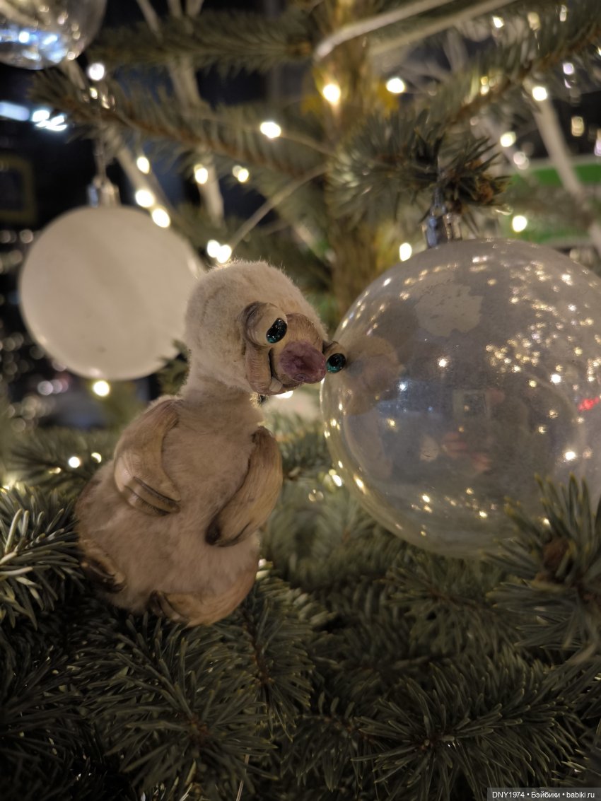 Сид умеет отдыхать культурно (фото 7)