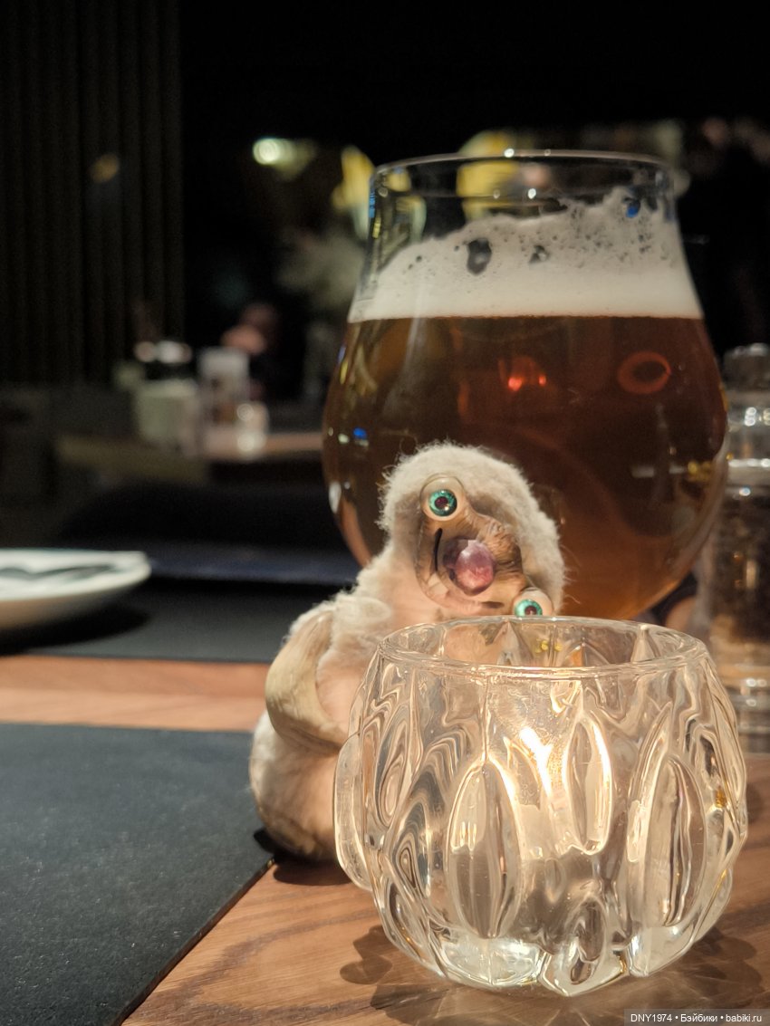 Сид умеет отдыхать культурно (фото 9)