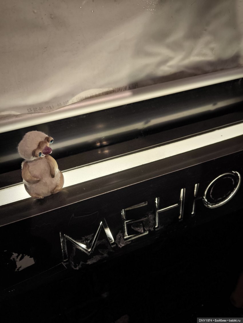 Сид умеет отдыхать культурно (фото 8)