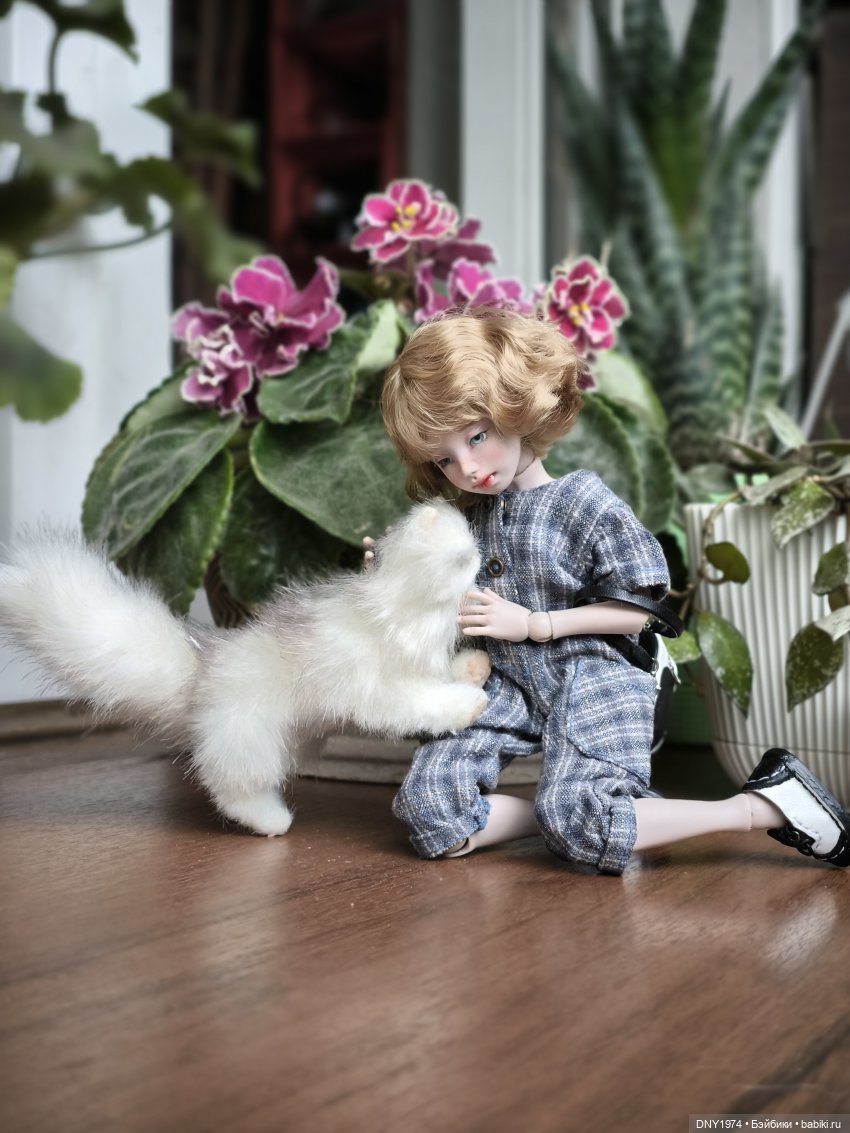 День котиков — Коллекции кукол BJD (БЖД): фото витрин