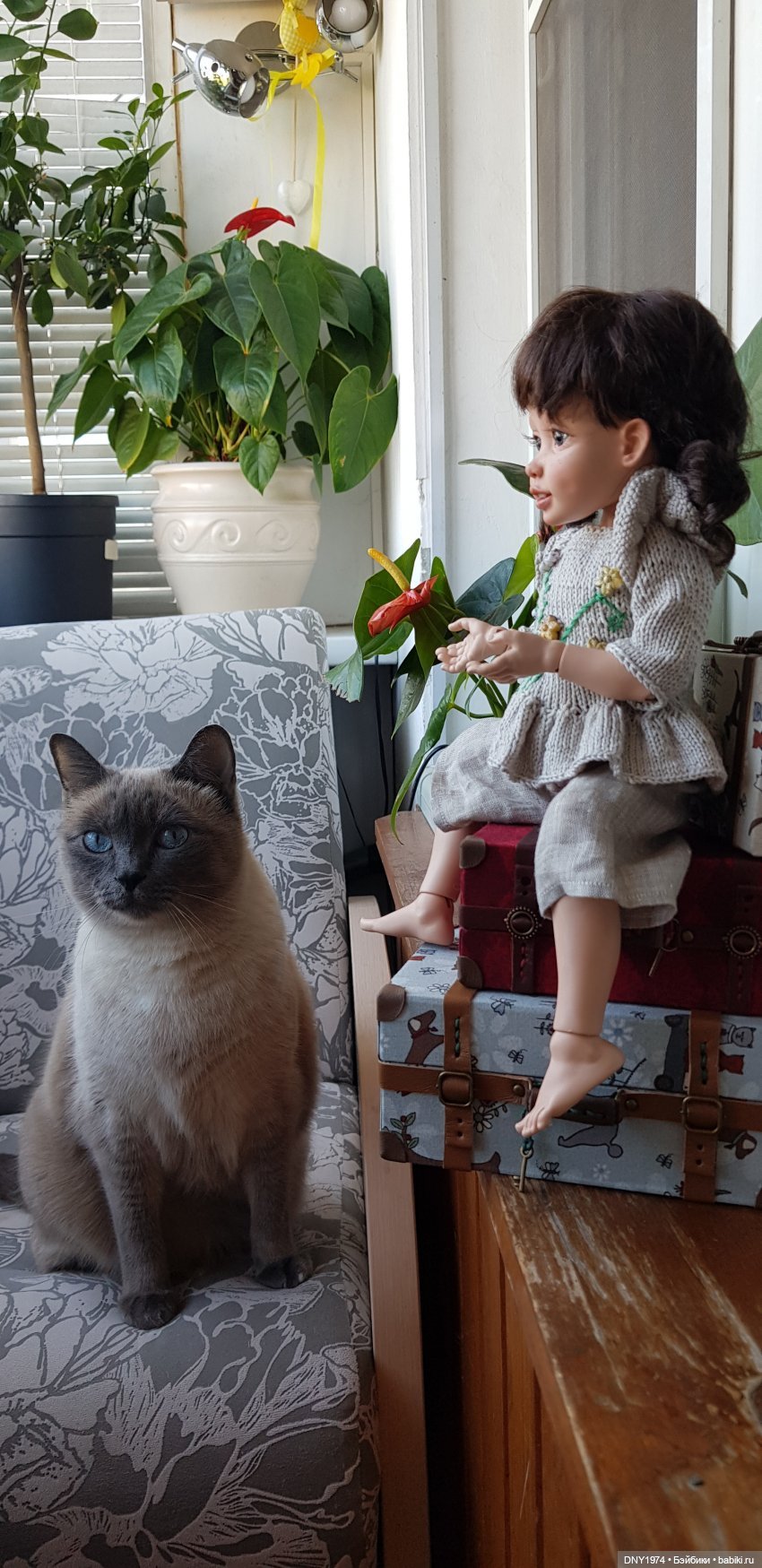 День котиков — Коллекции кукол BJD (БЖД): фото витрин (фото 3)