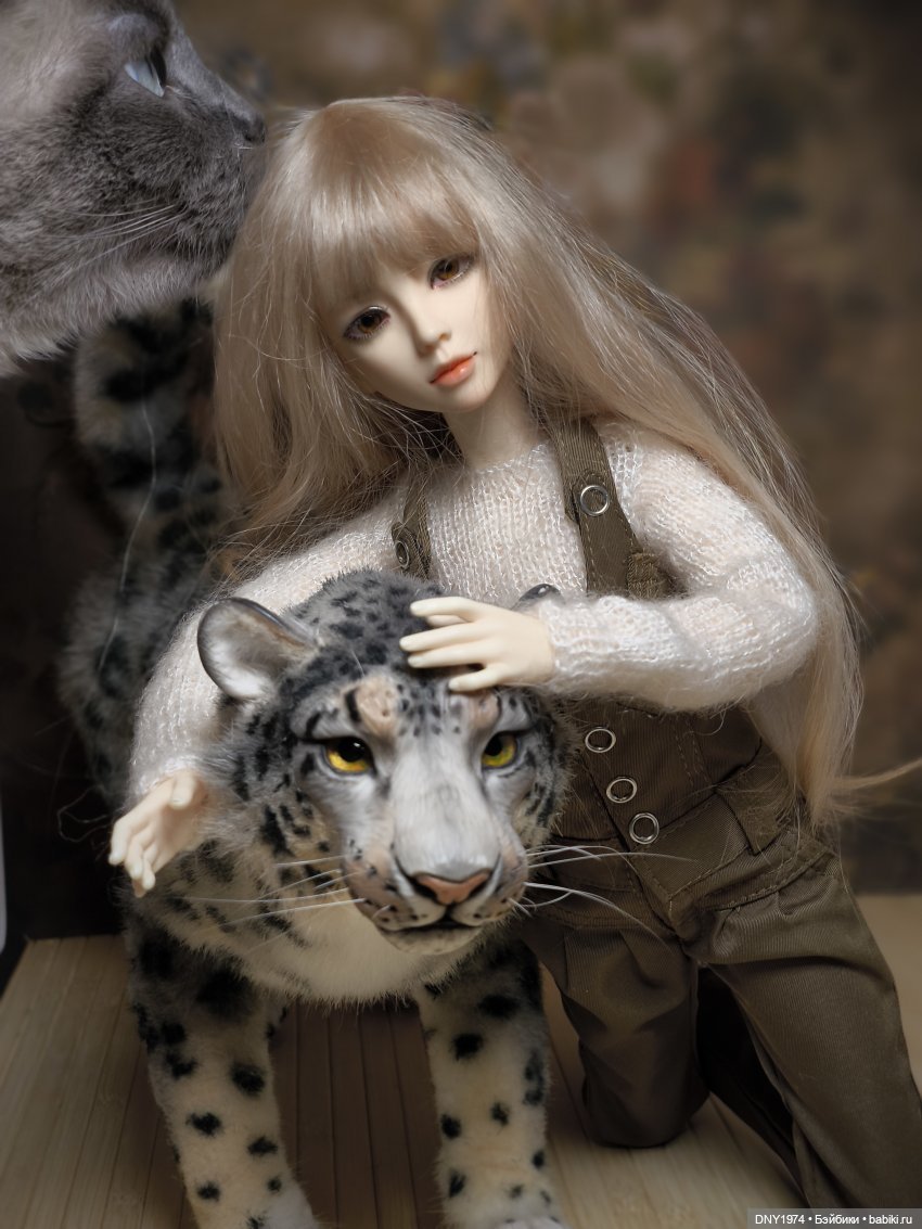 День котиков — Коллекции кукол BJD (БЖД): фото витрин