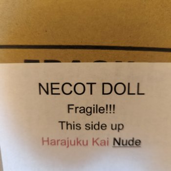 Покупки на кукольном балу на Тишинке