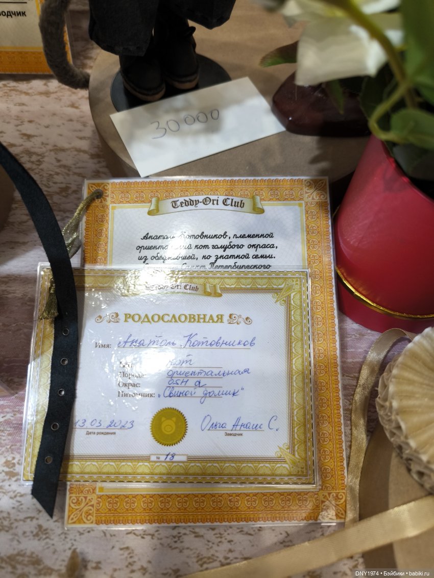 С корабля на бал, часть 1