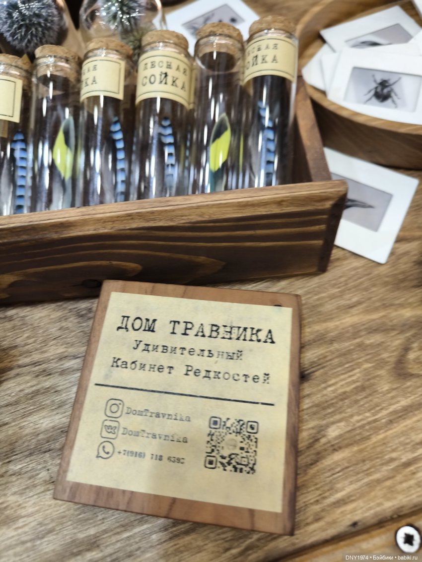 С корабля на бал, часть 2 (фото 5)